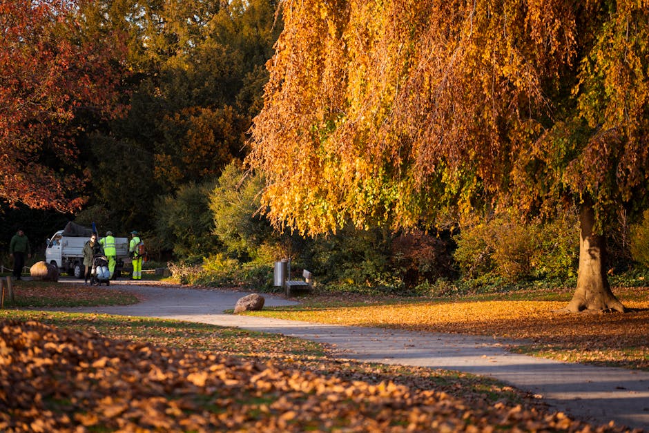 https://rubbishcollectionwatford.co.uk/blog/cassiobury-park-bulky-rubbish-collection-guide-for-watford/
